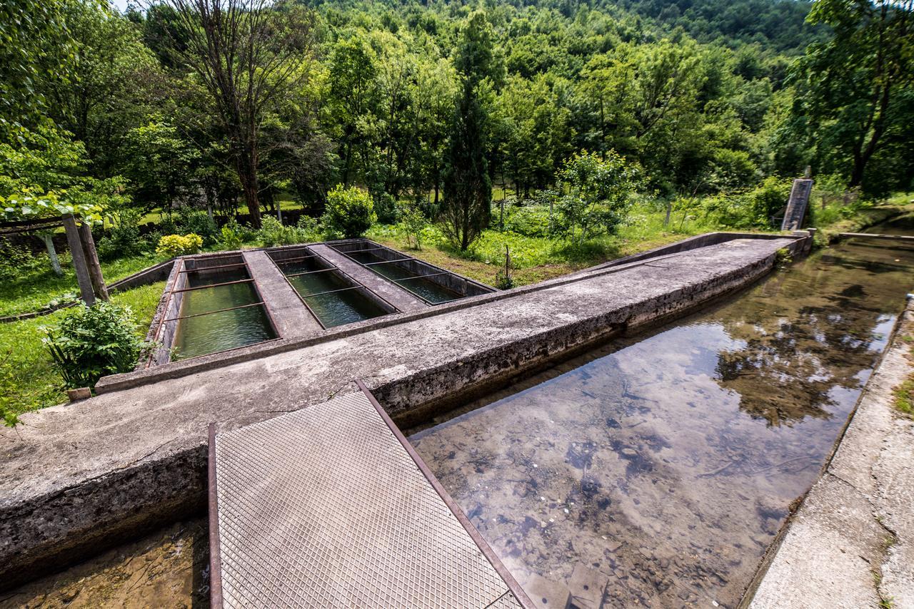 Eko House Dobrenica Bihać Exterior foto